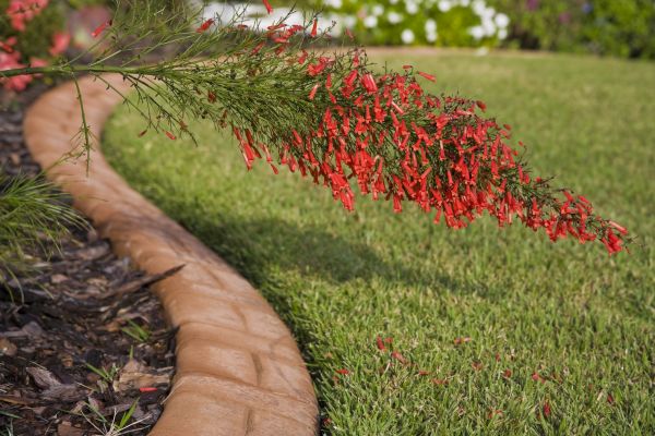 Brick Edging in Danville