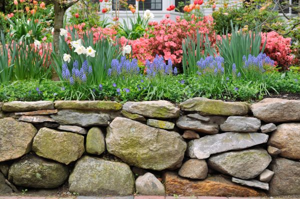 Stone Wall Hardscaping in Danville