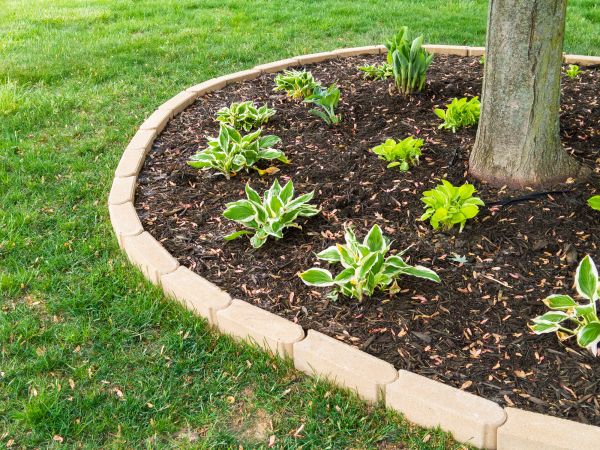 Stone Border Installation in Danville