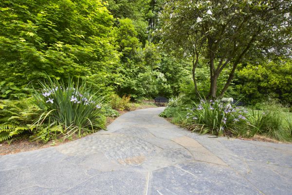 Stone Hardscape Service in Danville