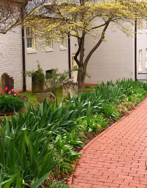 Brick Flatwork Repair in Danville